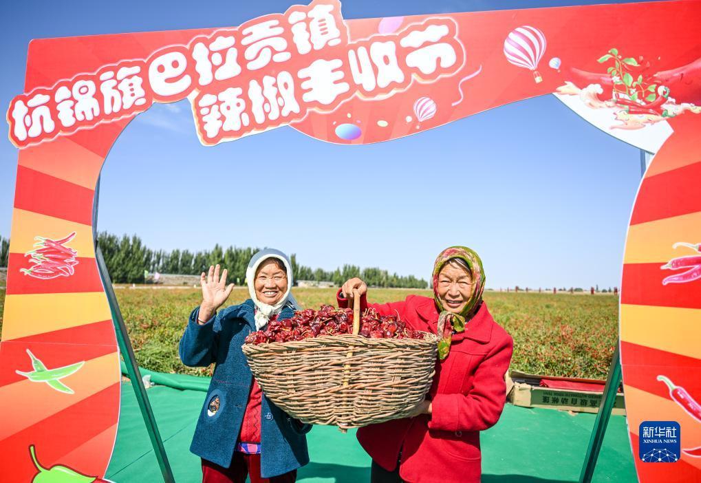 博悦平台首页